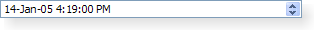 Screenshot of a Windows XP style date time editing widget